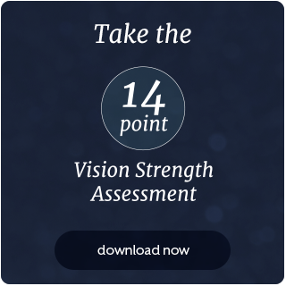 14 Point Vision Assessment